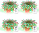 Clear Wire 4 Pack - Red & Green