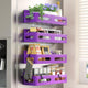 Purple - 4 Pack