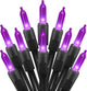 Purple - 50 Count - 1PC