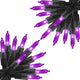 Purple - 50 Count - 2PC