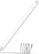 25 Inch - Cool White