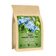Chicory Root Tea - 50 Count (Pack of 1)