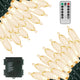 Warm White - 66ft 200 LED