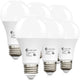Daylight 5000k - 100W-6 Pcs