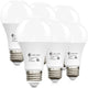 Soft White 2700k - 100W-6 Pcs