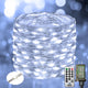 Cool White - 33FT 100LED