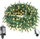 Warm White Glass Green Wire - 66FT 200LED
