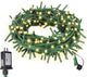 Warm White Glass Green Wire - 33FT 100LED