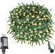 Warm White Glass Green Wire - 200FT 600LED