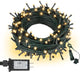Warm White Dark Green Wire - 66FT 200LED