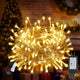 Warm White - 33FT 100LED