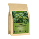 Gymnema Leaf Tea - 85 Count (Pack of 1)