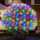 Multicolor - 176LED