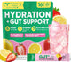V2-StrawberryLemonade - 1 Pound (Pack of 1)