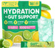 V5-Lemon Lime - 1 Pound (Pack of 1)