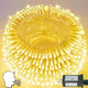 Warm White - 200LED Voice control