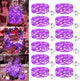 Purple - 12 Pack