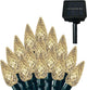 Warm White - C3-100LED-Solar