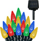 Multicolor - C3-100LED-Solar