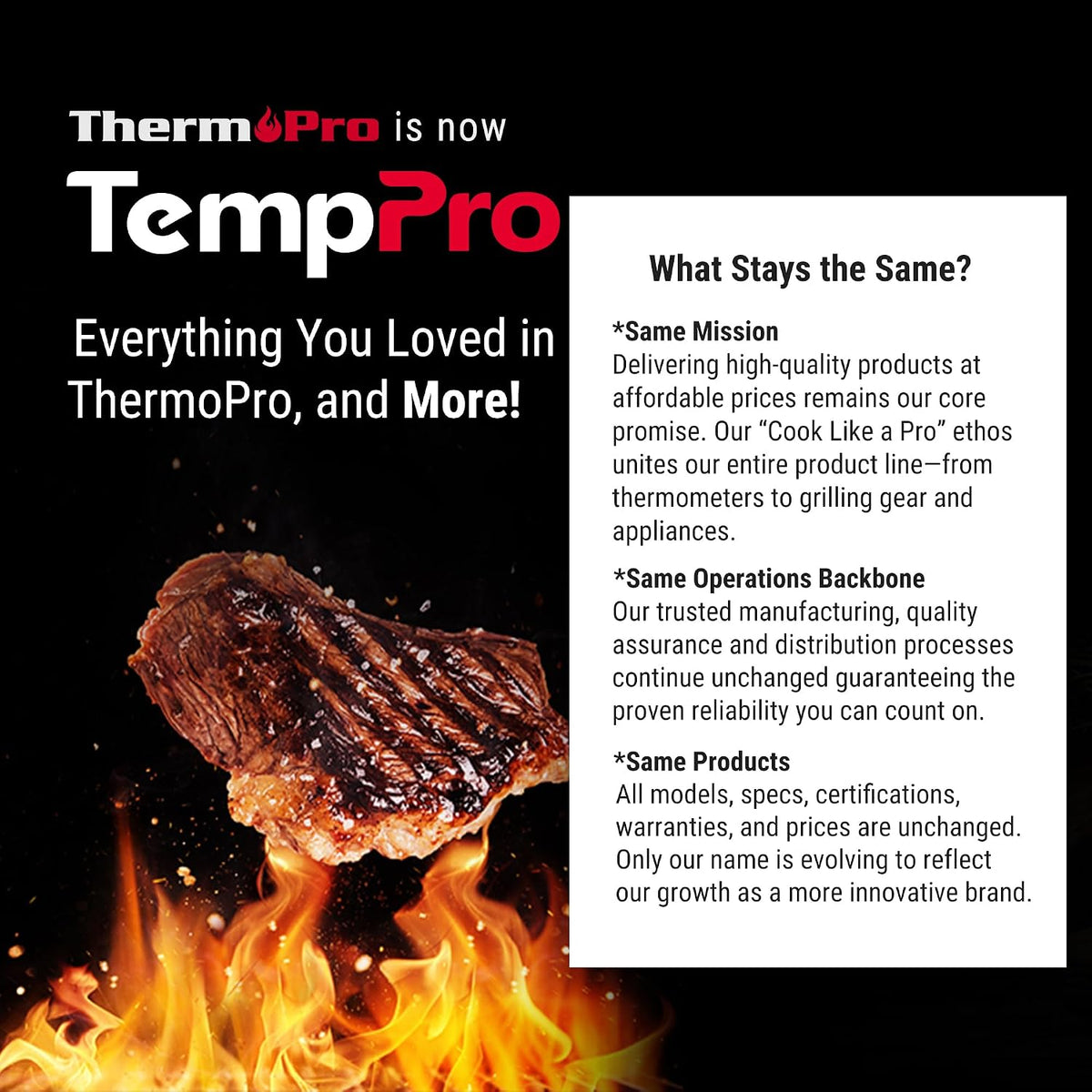 TempPro TempSwift Digital Meat Thermometer for Grilling, Portable Instant Read Probe for Backyard BBQ and Patio Cookouts