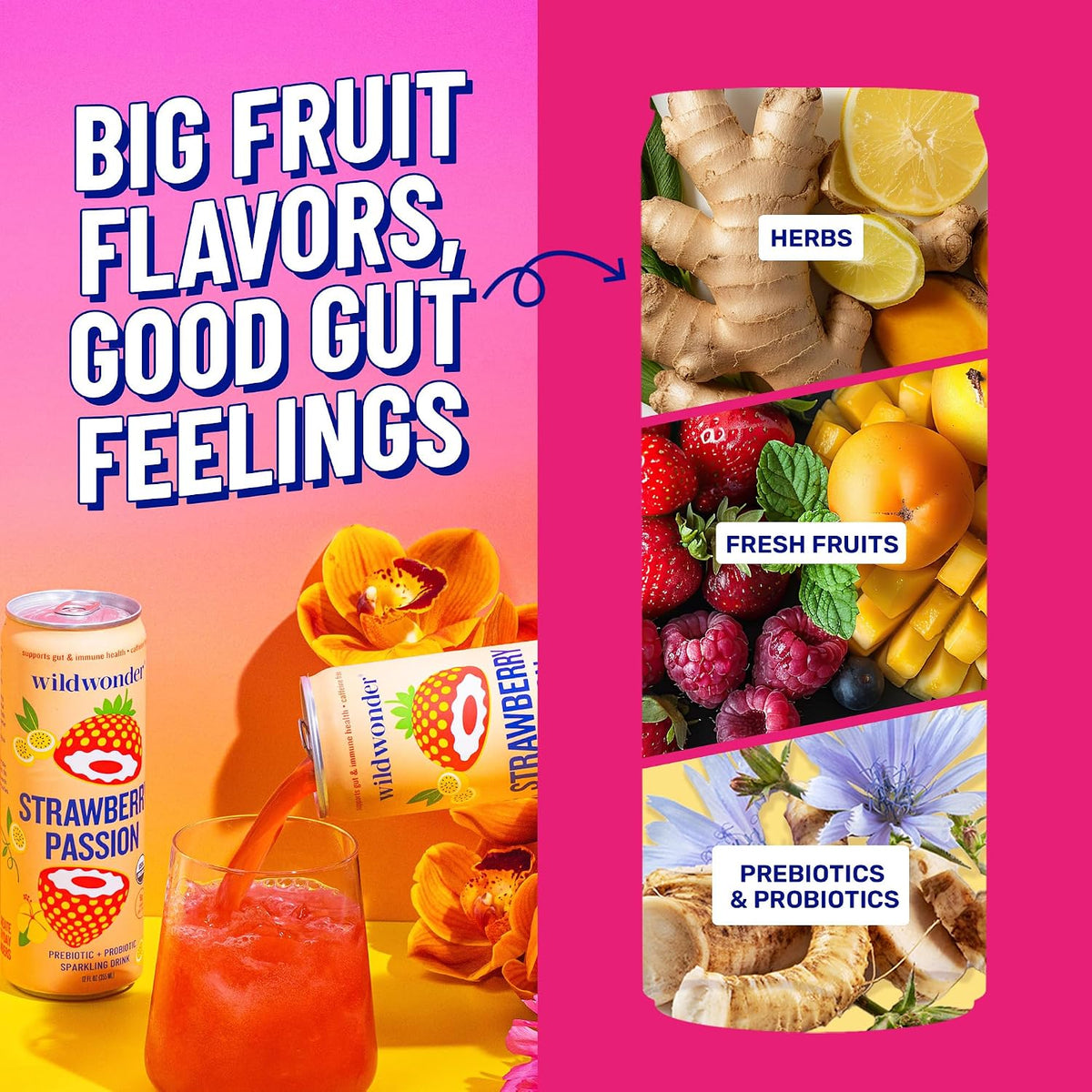 three flavor and pack configurations: classic variety in a 12-pack, tropical vibes in a 12-pack, and sampler pack with 18 cans