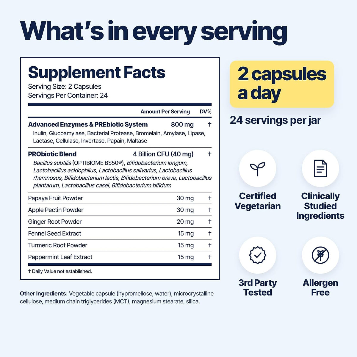 Zenwise Digestive Enzyme, Probiotic, and Prebiotic Capsules for Everyday Digestive Care