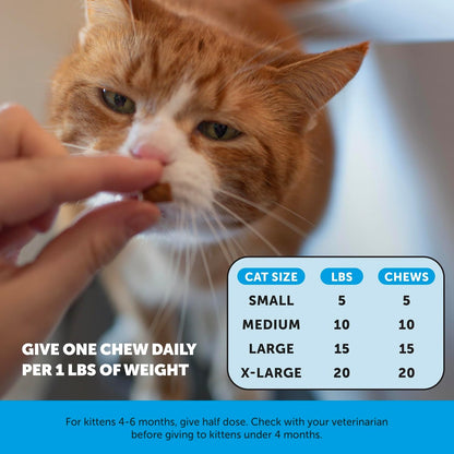 three supply size variants: 20-day, 30-day, and 90-day counts