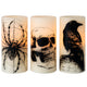 1-Skull Timer