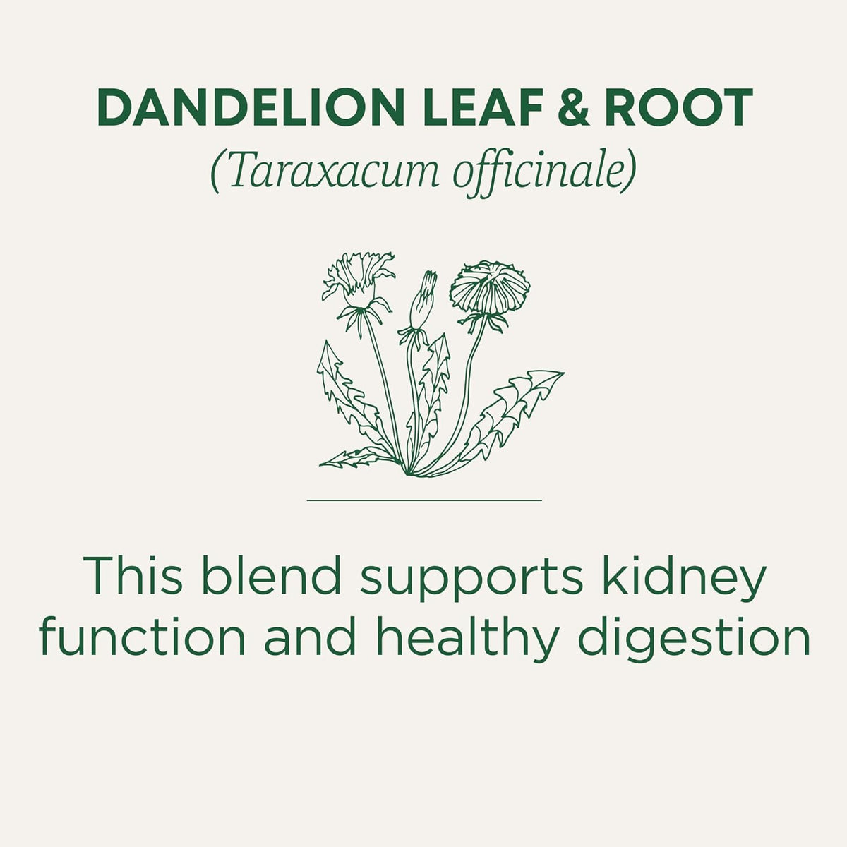 Traditional Medicinals Organic Dandelion Leaf & Root – Gentle Kidney & Digestion Support for Post-Meal Calm