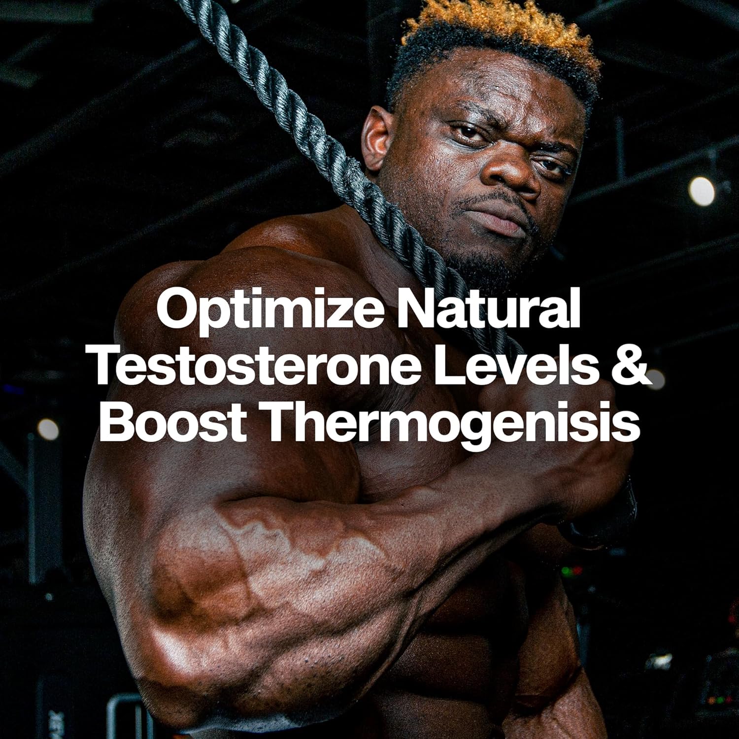 tribulus terrestris as a traditional male vitality and testosterone-supporting herb