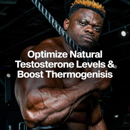 tribulus terrestris as a traditional male vitality and testosterone-supporting herb