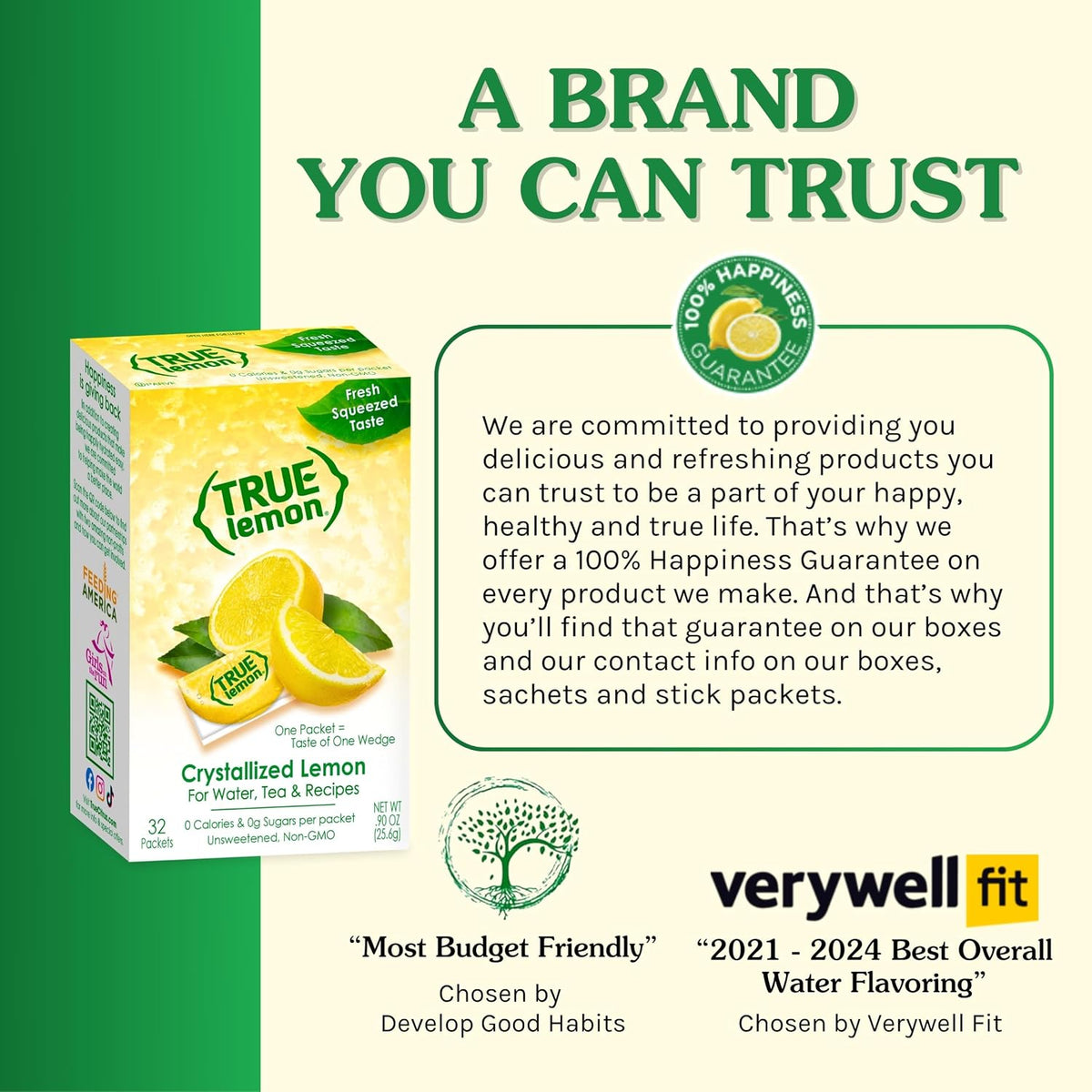 TRUE LEMON Water Enhancer – No-Refrigeration Lemon Packets for Open-Air Lifestyles, Bulk 500 Pack