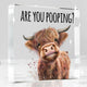 PoopingCowT