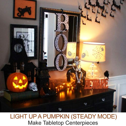 two lighting modes: flicker (flickering effect) and steady (steady glow)