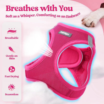 two metal d-rings plus ergonomic design that reduces neck strain