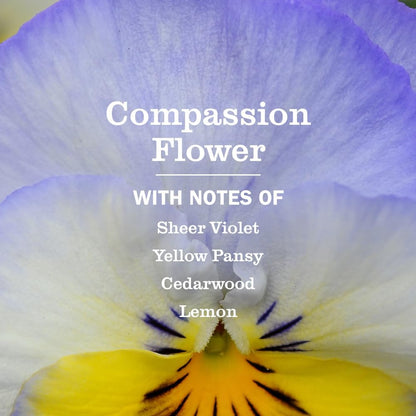two-pack option available in lavender for bulk purchasing