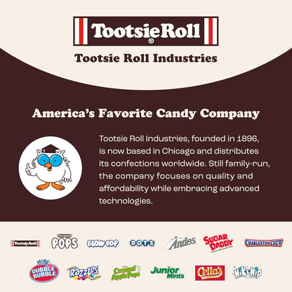 Tootsie Roll Child's Play Candy Favorites 5lb Bag – Nostalgic Care Package Gift for Grandparents and Grown-Up Kids