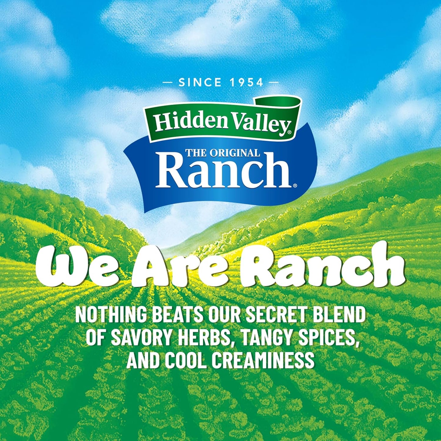 versatile dry-mix format usable as dressing base, dip, seasoning sprinkle, or dry rub