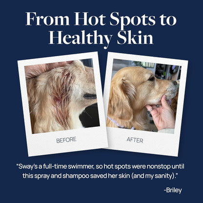 Veterinary Formula Clinical Care Hot Spot & Itch Relief Spray for Dogs & Cats – Gentle Anti-Itch Spray for Dogs and Cats Over 12 Weeks