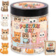 Positive Cat