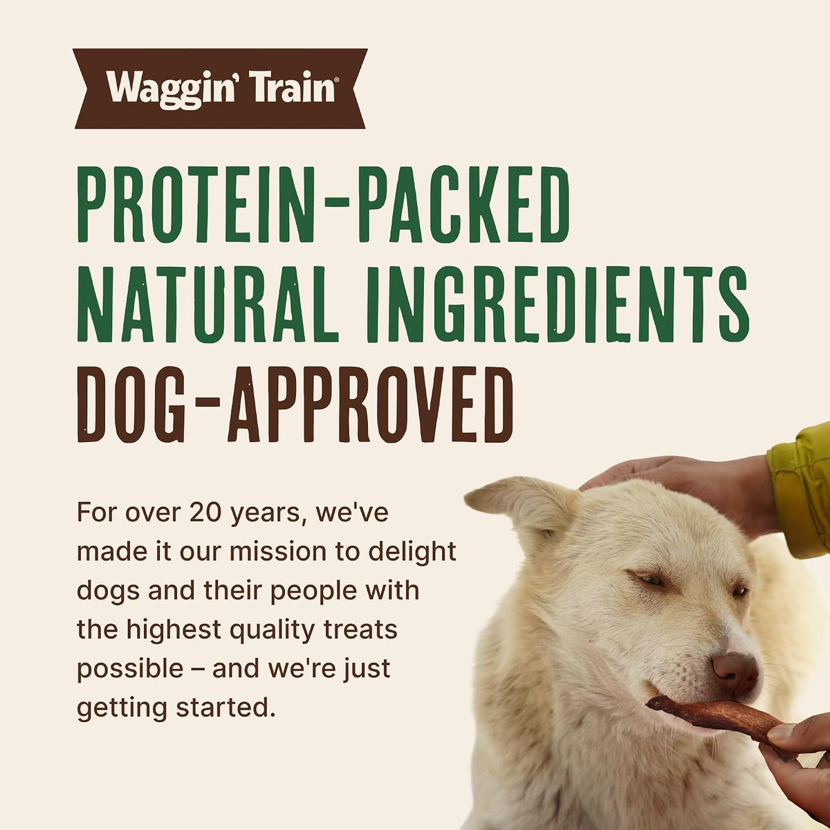 Waggin' Train Duck Jerky Dog Treats – Premium Limited-Ingredient Gift Pack for Health-Conscious Dog Owners