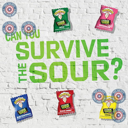 WARHEADS Extreme Sour Hard Candy Sour Apple Black Cherry Blue Raspberry Lemon Watermelon 2 oz Bag for Sour Challenge Playdates