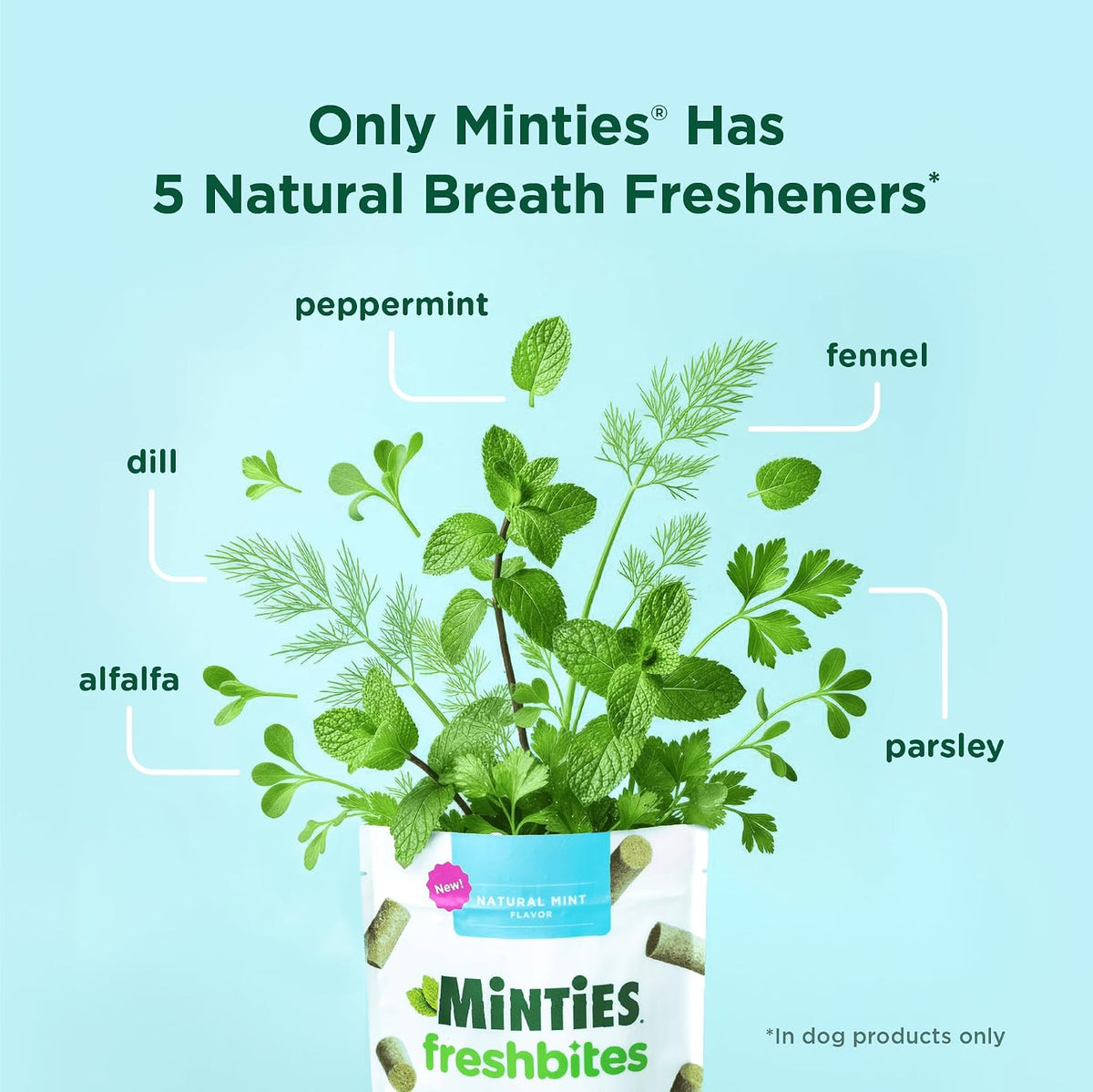 wheat-free, corn-free, soy-free, salt-free, dye-free formula