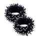 White (33 Ft 100 LED) - 2 Pack(Black Wire)