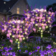 Lavender Warm White - 2 pack