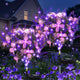 Lavender Purple - 2 pack