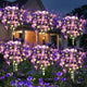 Lavender Warm White - 6 pack