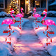 Flamingos Pink - 4 pack