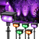 RGB (Red, Green, Blue) - 6 Pack