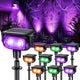 RGB (Red, Green, Blue) - 10 Pack